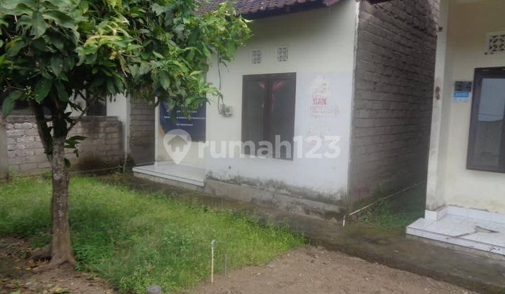 Rumah Siap Huni Rp 126jt di Jembrana - Bali 1