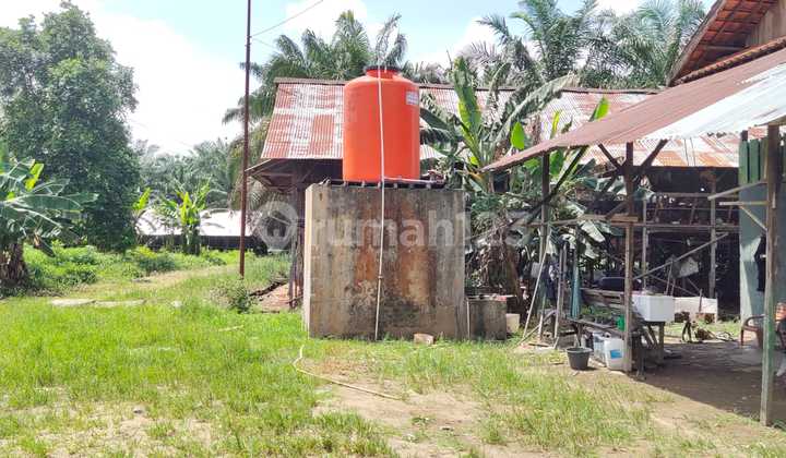 Lahan 1,86 Ha SHM di Talang Kelapa – Strategis & Siap Pakai Lahan 1,86 Ha SHM di Talang Kelapa – Strategis & Siap Pakai