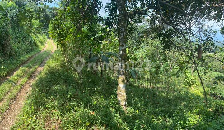 Tanah 6134 m² Harga Terjangkau di Bogor – Cocok untuk Usaha & Gudang Tanah 6134 m² Harga Terjangkau di Bogor – Cocok untuk Usaha & Gudang