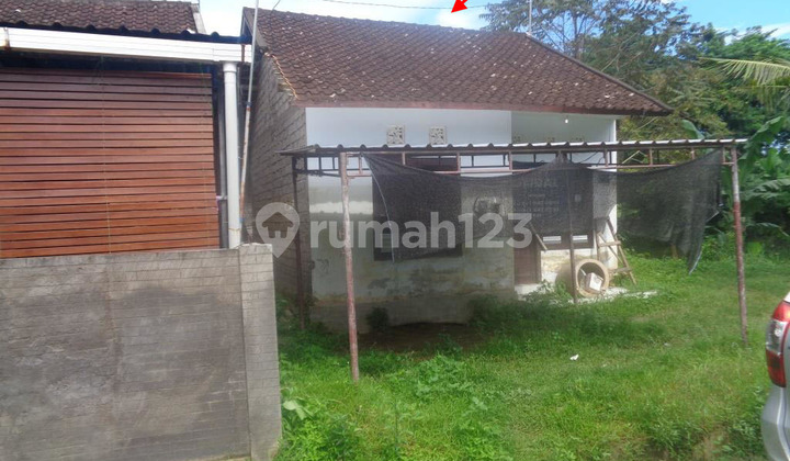 Dijual Rumah Seharga Rp 126Jt di Jembrana - Bali 1