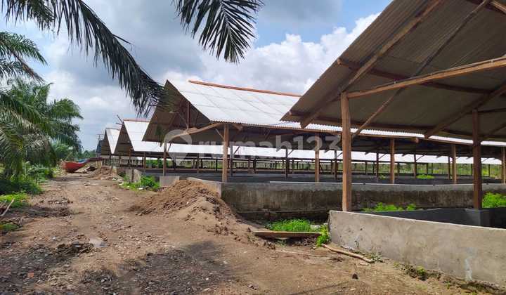 Dijual lahan seluas 44.815 m2 di Banyuasin - Sumatra selatan Dijual lahan seluas 44.815 m2 di Banyuasin - Sumatra selatan