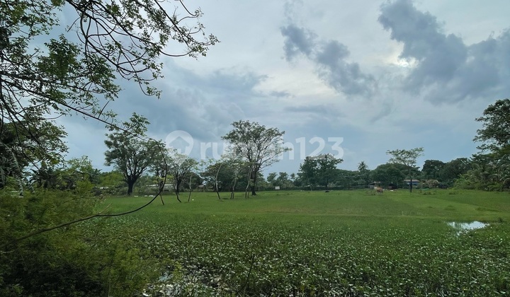 Dijual Cepat Tanah Poros Jalan Barombong Dekat Dari Jembatan Barombong Lokasi Strategis Dijual Cepat Tanah Poros Jalan Barombong Dekat Dari Jembatan Barombong Lokasi Strategis