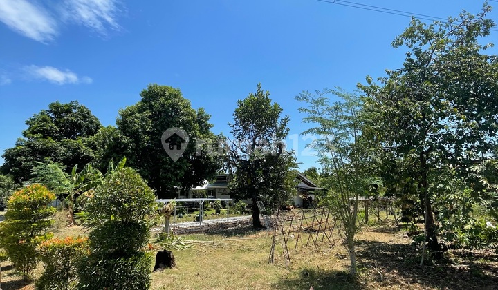 Dijual Cepat Tanah Siap Bangun Di Jalan Poros Antang Tamangapa Raya Kota Makassar Lokasi Strategis 