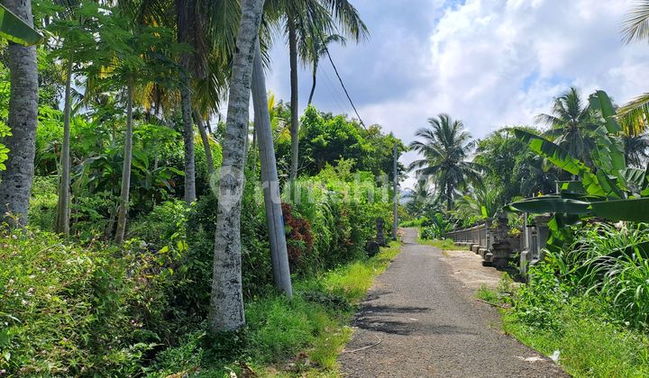 Tanah Cocok Untuk Villa Di Medewi Jembrana