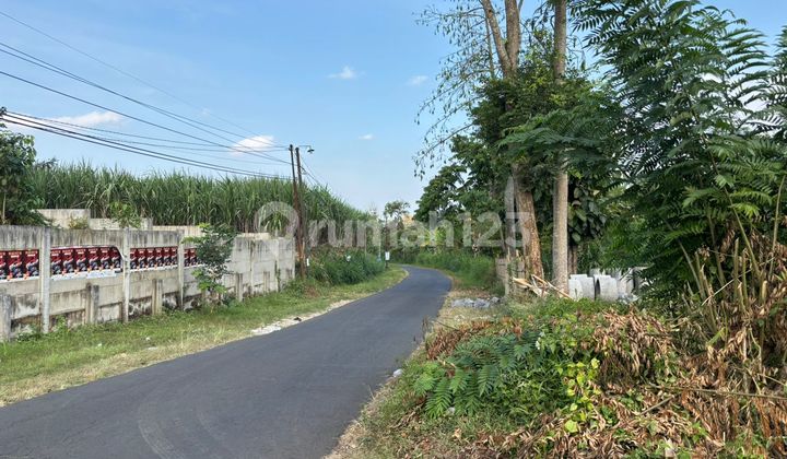 Wagir Land in Malang City Only 80 Million, Suitable for Residence