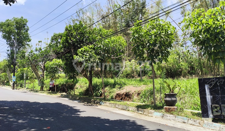 Tanah Poros Jalan Samping Pondok Thursina Merjosari