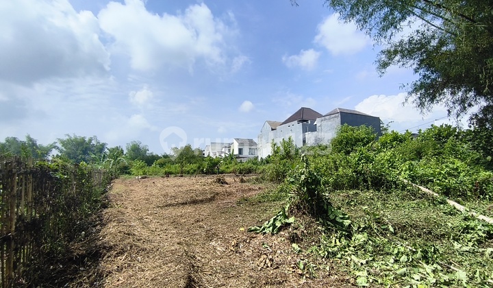 Tanah Murah Landungsari Malang Dekat Kampus Ub dan Pondok Thursina