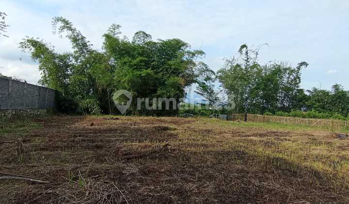 Tanah Kavling Kota Malang 160 Juta An Dekat Pondok Thursina dan Umm