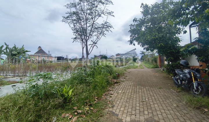 Tanah 500 Juta An Kota Malang Cocok untuk Kost Dekat Ub Brawijaya Tanah 500 Juta An Kota Malang Cocok untuk Kost Dekat Ub Brawijaya