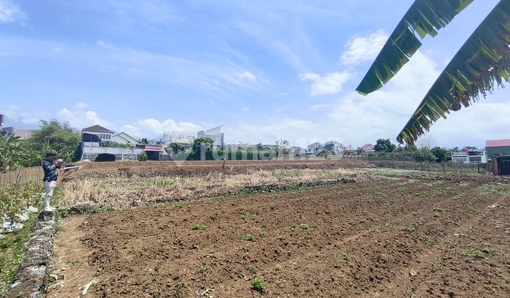Tanah Merjosari Kota Malang Dekat Kampus Potensial Rukost Tanah Merjosari Kota Malang Dekat Kampus Potensial Rukost