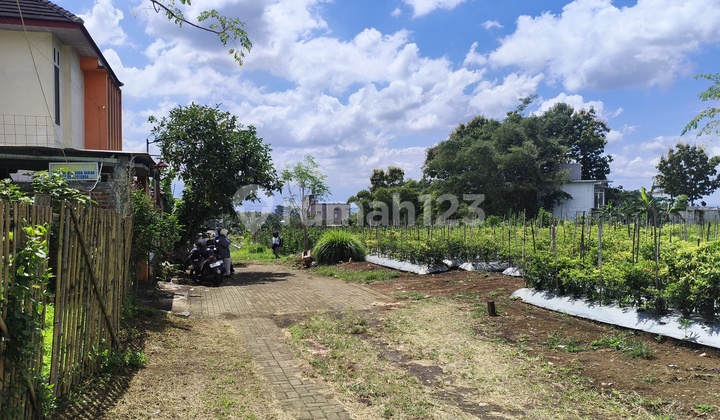 Tanah Luas Merjosari Kota Malang 500 Juta An Cocok untuk Kost Tanah Luas Merjosari Kota Malang 500 Juta An Cocok untuk Kost