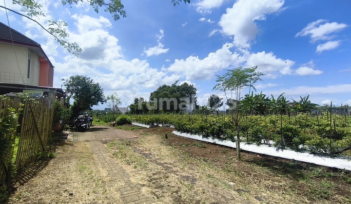 Tanah Siap Bangun Kota Malang 200 Juta An Strategis Kos Kos An Tanah Siap Bangun Kota Malang 200 Juta An Strategis Kos Kos An