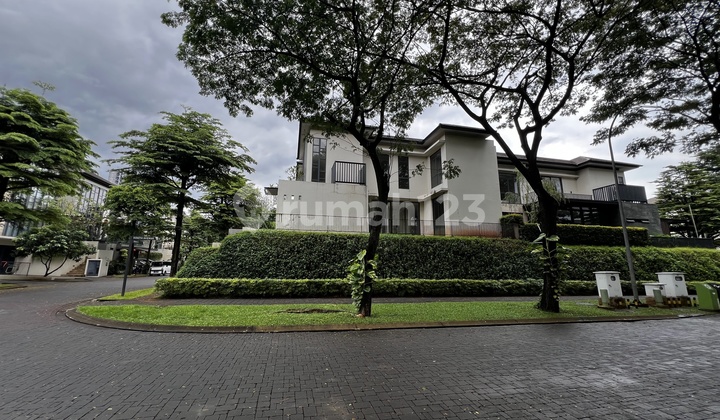 Nava Park Lancewood, Hook Unit, Quick Sale