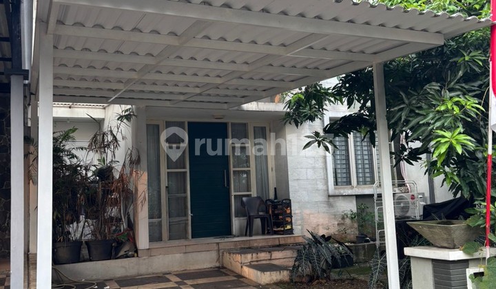 CARRIBEAN ISLAND DELATINOS FOR SALE DIJUAL