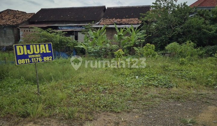 Tanah Matang Siap Bangun SHM