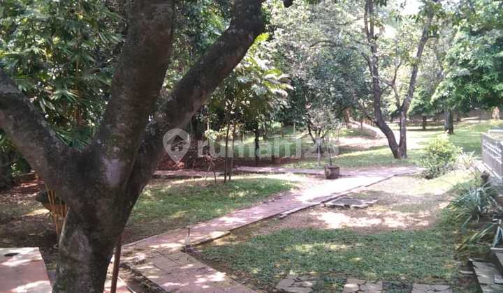 Large Land in Jagakarsa