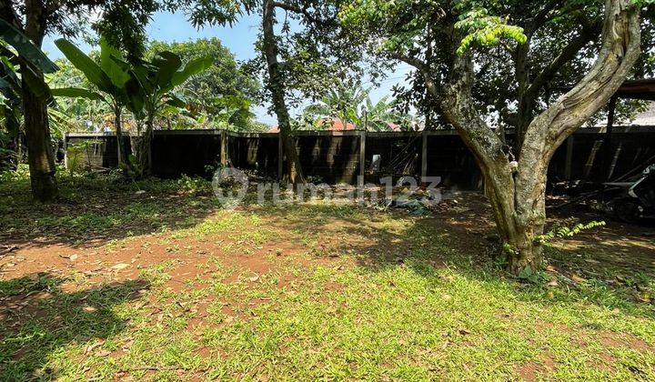 Tanah Murah 2 Hektar Kemang Di Bawah Njop