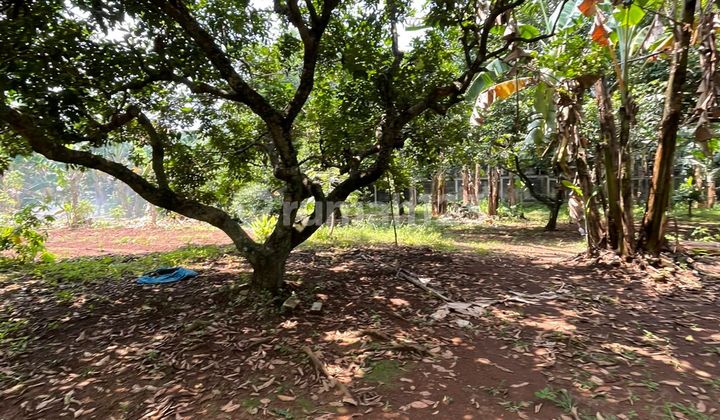 Tanah Murah Dekat Kampus Uin Tanah Murah Dekat Kampus Uin