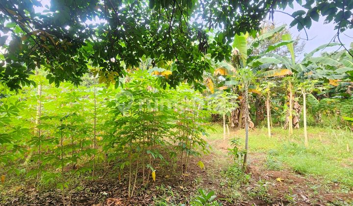 Dijual Tanah Murah Cirendeu Tangsel Dekat Mrt Lebak Bulus 1
