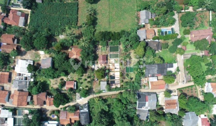 Dijual Kebun Di Parung Luas Cocok Untuk Cluster/perumahan Atau Ternak Ikan Shm