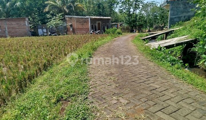 Sawah di Karangploso Dijual Murah Cocok untuk Investasi Sawah di Karangploso Dijual Murah Cocok untuk Investasi