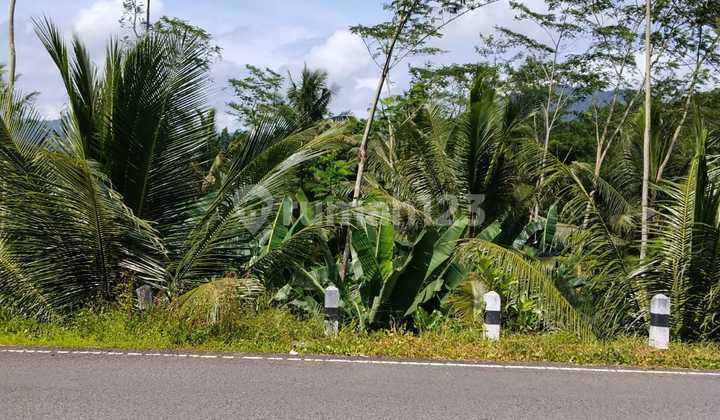 Tanahmurah Danstrategis di Munjungan Trenggalek Tanahmurah Danstrategis di Munjungan Trenggalek