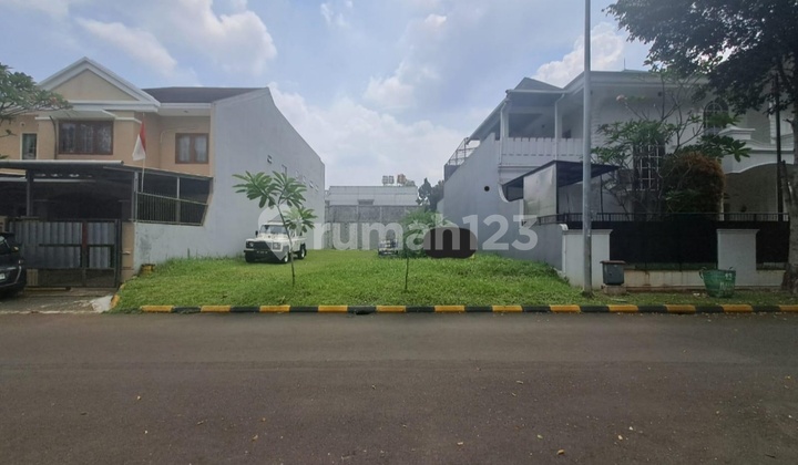 Rectangular Plot Positioned on the Body