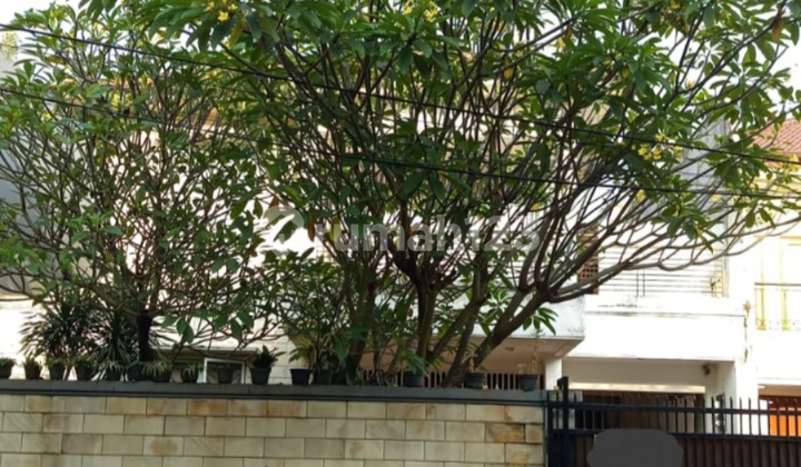 Rumah Mewah Di Lingkungan Tenang Dan Nyaman