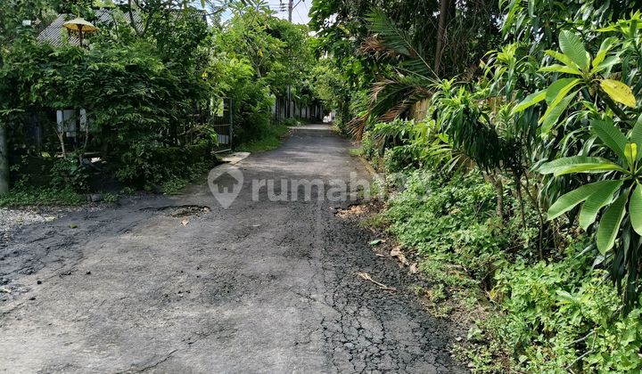 Dijual Lahan Tanah di Dharmawangsa Kutuh Hanya 100M ke Jl Utama Dijual Lahan Tanah di Dharmawangsa Kutuh Hanya 100M ke Jl Utama