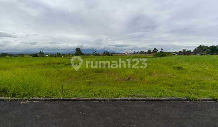 Dijual Lahan Tanah Kecil di Kelating View Gunung Sawah dan Laut