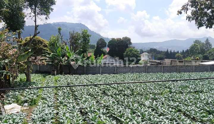 DIJUAL TANAH DI LEMBANG DIJUAL TANAH DI LEMBANG