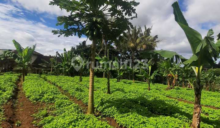Dijual Lahan Potensial Siap Bangun di Area Graha Bukit Raya Bandung Barat