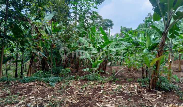 LAND FOR SALE IN CIKASUMUKAN, CIMENYAN, WEST BANDUNG REGENCY LAND FOR SALE IN CIKASUMUKAN, CIMENYAN, WEST BANDUNG REGENCY