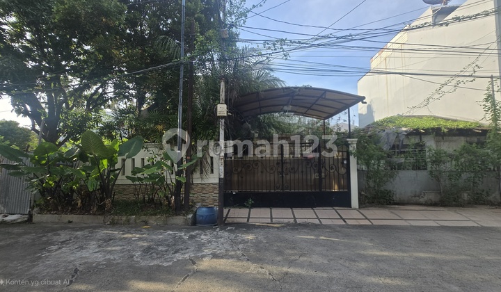 Rumah Pluit Putri. Bagus. Worth It 1