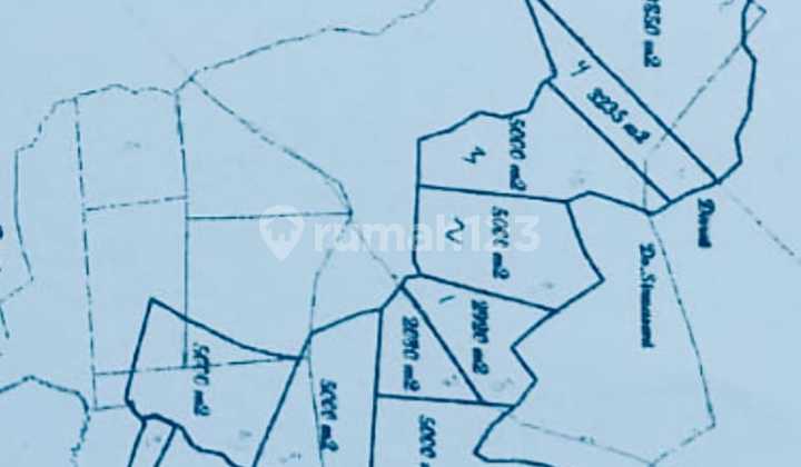 Tanah Luas Banyak Jenis Pohon Buah di Desa Sirnarasa Cariu Bogor
