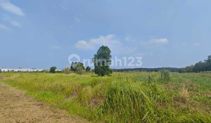 Land for sale in Karawang, West Java.