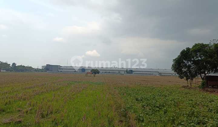 Dijual Tanah di sumber jaya Majalengka Jawa Barat 