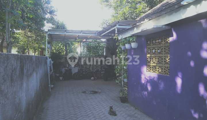 Dijual Rumah Cantik di Margoluwih, Seyegan, Sleman 2