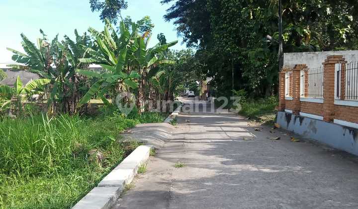 Dijual Tanah Luas Murah di Banguntapan, Yogyakarta, Dekat Kota dan Ringroad