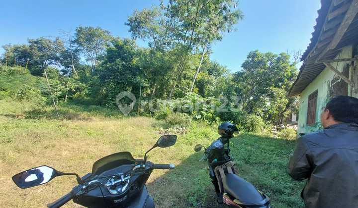 Dijual Tanah Murah Bonus Bangunan di Selomartani, Kalasan, Sleman, Yogyakarta. Cocok untuk Perumahan
