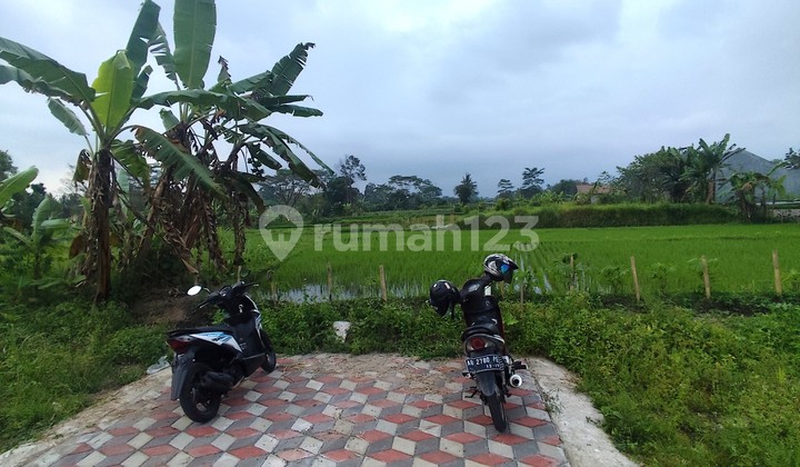 Dijual Tanah Murah di Sardonoharjo, Ngaglik, Sleman, Jalan Kaliurang