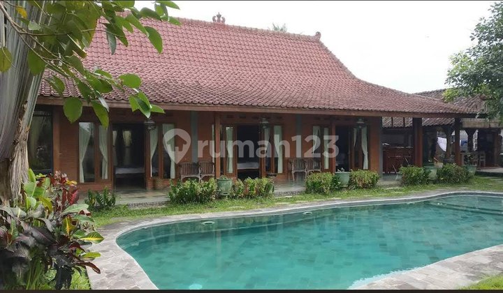 Dijual Villa Joglo Mewah dengan Kolam Renang di Maguwo, Sleman Dijual Villa Joglo Mewah dengan Kolam Renang di Maguwo, Sleman