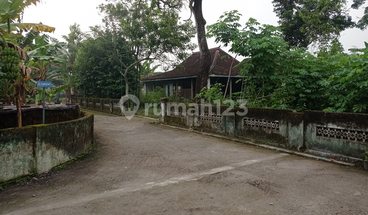 Dijual Tanah Luas Bonus Joglo Klasik di Sabdodadi, Bantul, Yogyakarta, Dekat Pusat Kerajinan Kulit Manding Dijual Tanah Luas Bonus Joglo Klasik di Sabdodadi, Bantul, Yogyakarta, Dekat Pusat Kerajinan Kulit Manding
