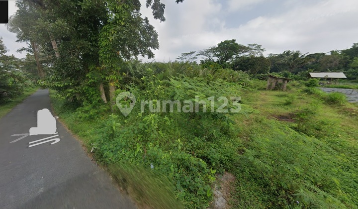 Dijual Tanah Murah, Mangku Jalan Aspal di Bangunkerto, Turi, Sleman Dijual Tanah Murah, Mangku Jalan Aspal di Bangunkerto, Turi, Sleman