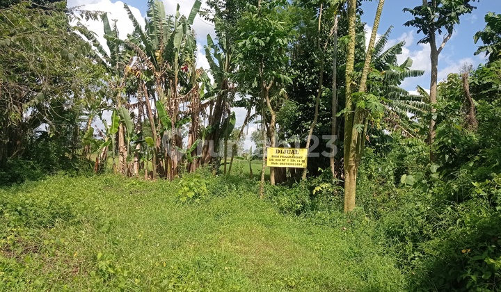 Dijual Tanah Sangat Murah di Kemudo, Prambanan, Klaten
