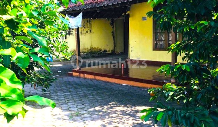 Dijual Rumah Luas dan Murah di Triharjo, Sleman, Dekat ke Sch dan Kampus Ugm 2