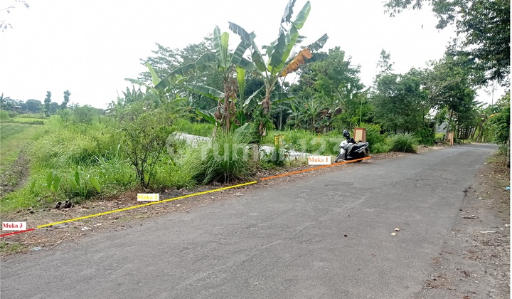 Dijual Tanah Luas dan Murah, Area Strategis di Tlogoadi, Mlati, Sleman Dijual Tanah Luas dan Murah, Area Strategis di Tlogoadi, Mlati, Sleman