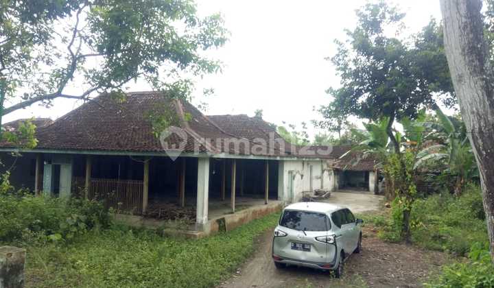 Dijual Tanah Luas Bonus Joglo Klasik di Sabdodadi, Bantul