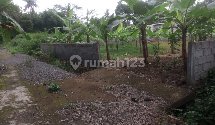 Dijual 2 Kapling Murah Istimewa, Dekat Bandara Yogyakarta Kulonprogo - bisa Dibeli 1 Dijual 2 Kapling Murah Istimewa, Dekat Bandara Yogyakarta Kulonprogo - bisa Dibeli 1