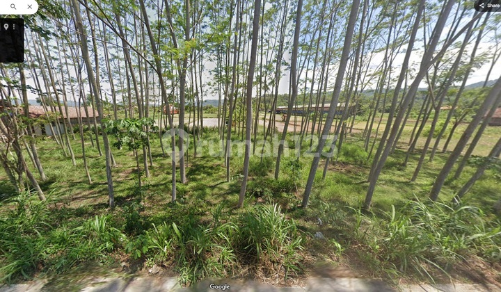 Dijual Tanah di Area Berkembang Dekat Bukit Bintang di Srimulyo, Piyungan, Bantul Dijual Tanah di Area Berkembang Dekat Bukit Bintang di Srimulyo, Piyungan, Bantul